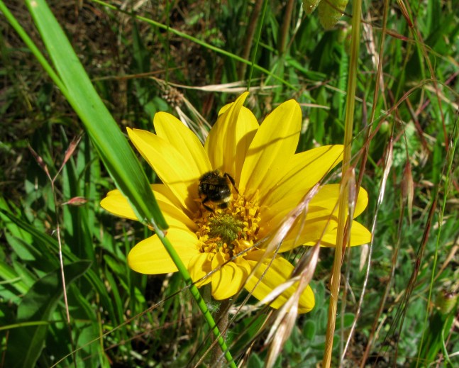 4*Sun, May 23, 2010 10-56 AM