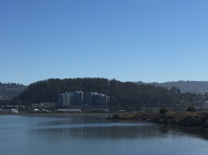 View of Albany Hill from the Albany Bulb 