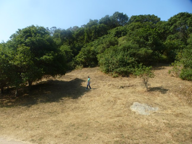 Margot on Albany Hill