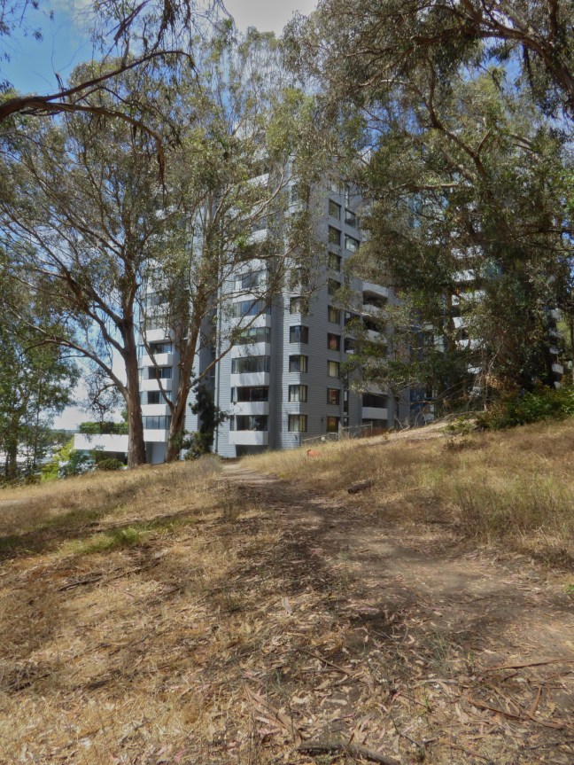 condos on w slope albany hill