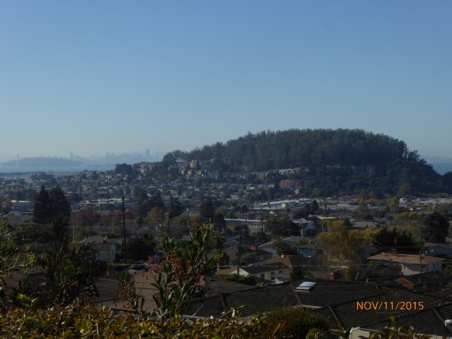 albany hilltaken from lower road in sunset cemetery, sf bridge, island