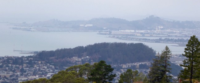 Albany Hill from LHS