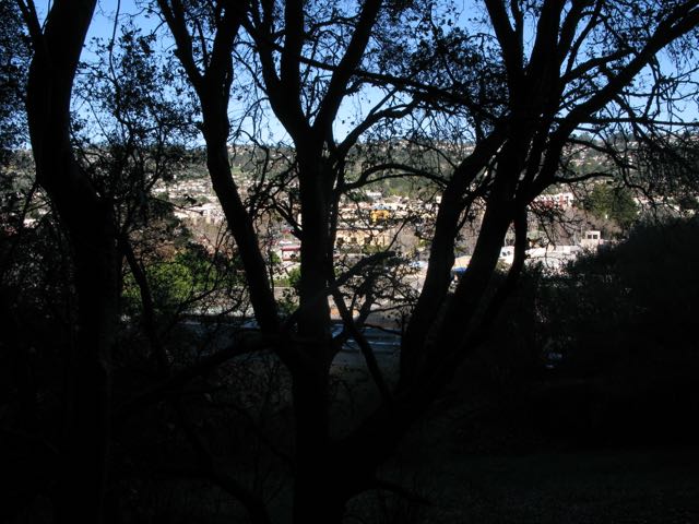 cities east of Albany Hill; view from oak woodland